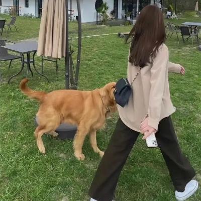 高年级姐妹会